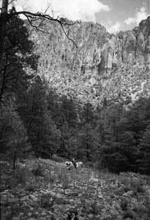 Straw Canyon, 1960