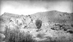 Lower Creek A