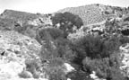 Maverick Point A