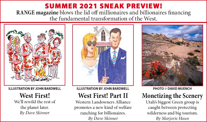 summer teaser