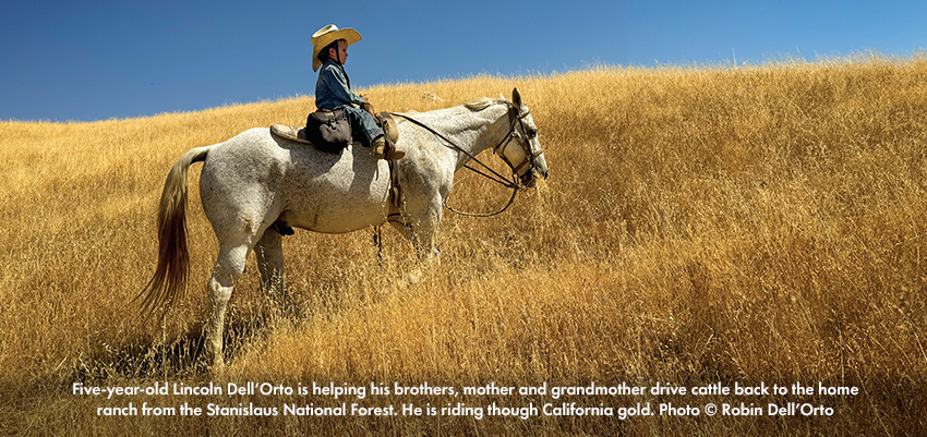 © Kathy McCraine Making a Splash