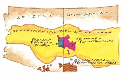 Arizona/New Mexico Map